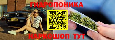 МДПВ Краснознаменск